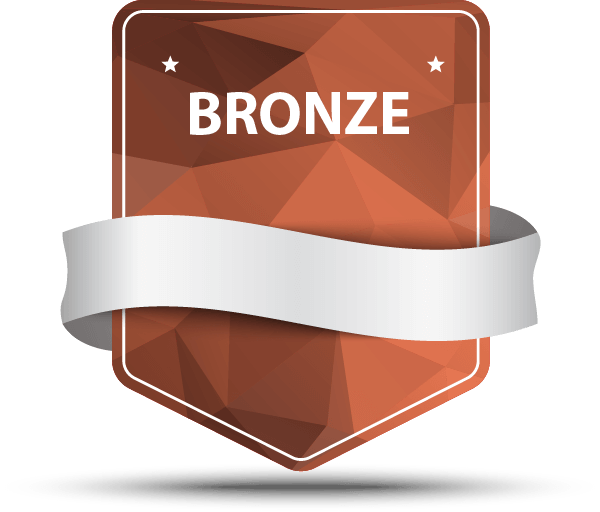 BrainSquad Bronze Badge