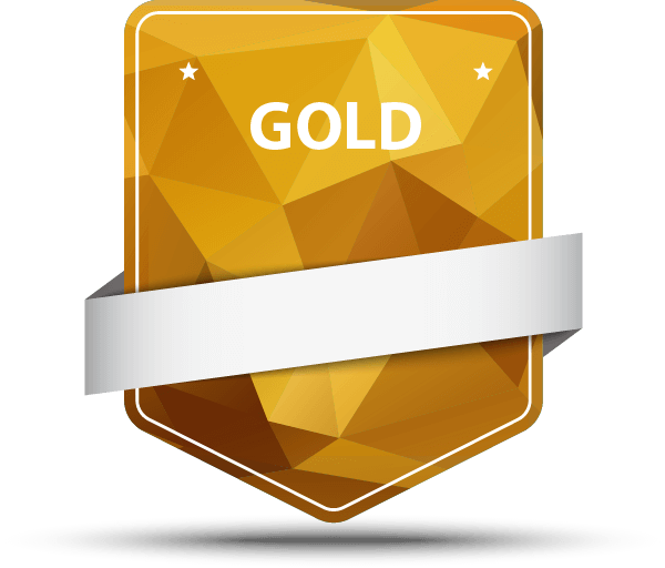 BrainSquad Gold Badge
